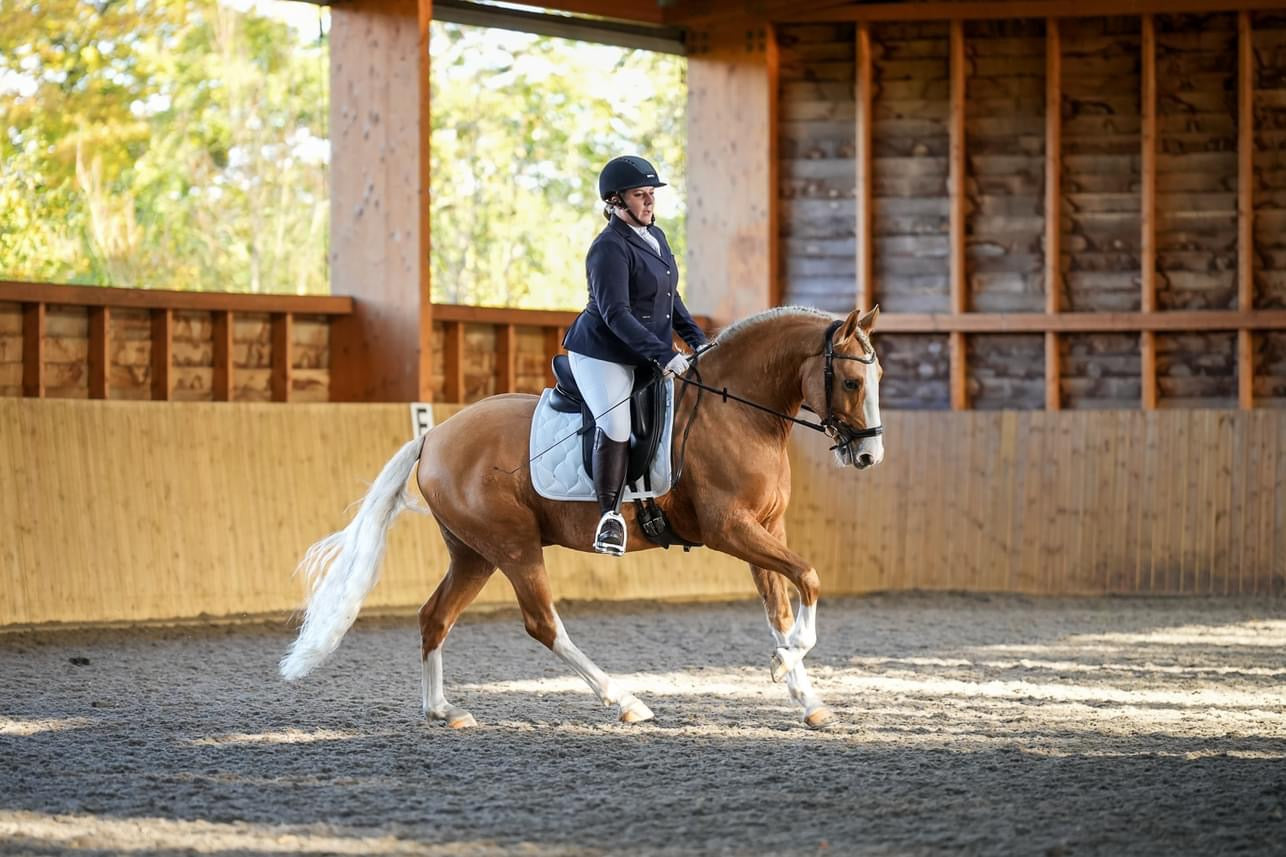 Dressage League Championship Sat 18th Oct