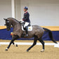 Dressage Clinic Sat 26th April