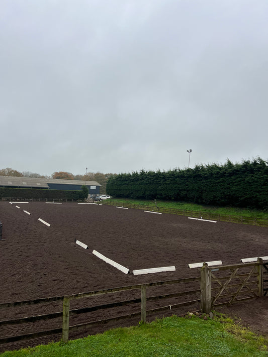 Dressage Clinic Sat 30th November (White Boards)