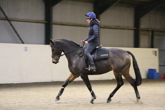 Dressage Clinic Sat 15th Feb